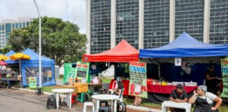 GDF abre 810 vagas para ambulantes em eventos pré-carnavalescos e de Carnaval