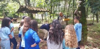 Inscrições para o Parque Educador estão abertas até o dia 25