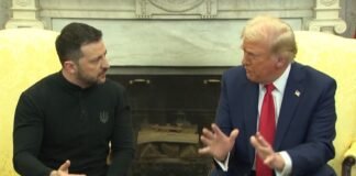 Vídeo: Trump e Zelensky batem boca ao vivo em reunião