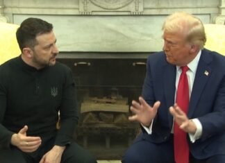 Vídeo: Trump e Zelensky batem boca ao vivo em reunião
