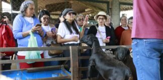 Agricultoras do DF aprendem novas tecnologias em visita à Fazenda Água Limpa