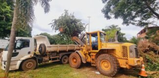 Áreas do Plano Piloto recebem ações de limpeza e manutenção