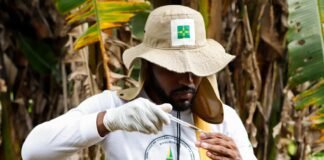 Saúde moderniza ferramenta que identifica focos e planeja ações contra a dengue