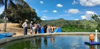 Representantes do Malawi conhecem propriedade-modelo em produção de pescado no DF
