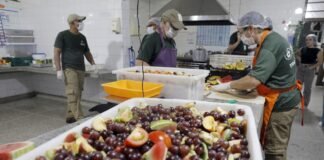 Você sabia? Animais do Zoológico de Brasília têm preferências alimentares e cardápios personalizados