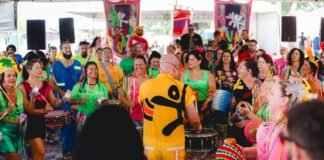 Confira a programação oficial do DF Folia 2025