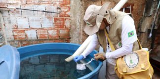 Nomeação de agentes, mutirões de limpeza e tecnologia fortalecem ações contra a dengue no DF
