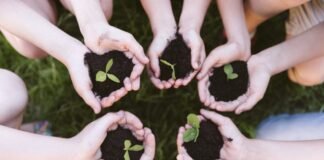 Abertas inscrições para curso de qualificação em economia circular, sustentabilidade e empreendedorismo