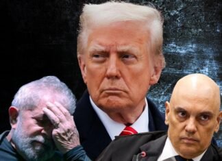 Trump aguarda relatório da OEA para decidir sobre sanções contra o Brasil por censura