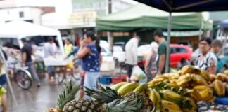 Audiência pública debate situação das feiras do DF nesta quarta-feira (26)