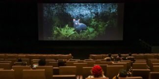 Cine Brasília promove sessão especial da animação ‘Flow’ para pessoas neurodivergentes