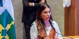 Paula Belmonte é eleita presidente da CPI do Rio Melchior