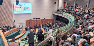 Preocupados com privatização, feirantes cobram retirada de PL que regulamenta feiras no DF
