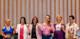 Câmara Legislativa homenageia Conselho de Direitos da Mulher