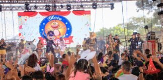 Em quatro dias de festa, segurança é destaque no Carnaval