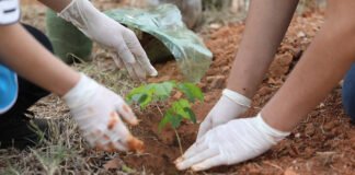 Centro de Práticas Sustentáveis terá feira, plantio e troca de mudas no sábado (8)
