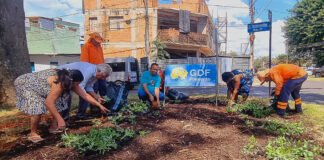 Ponto de descarte irregular de lixo é transformado em praça de convivência para os moradores da Vila Telebrasília
