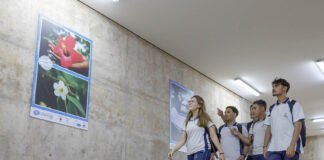 1ª Mostra de Fotografia do projeto Comunicador do Futuro estreia em Taguatinga