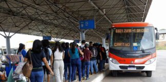 Zebrinhas, antes restritos ao Plano Piloto, agora circulam por diferentes regiões do DF