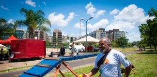 Samambaia recebe Dog Show com espetáculo de cães adestrados