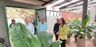 Viveiro do GDF recebe visita técnica de representantes do Judiciário