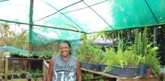Com assistência técnica, produtora rural transforma paixão por plantas em fonte de renda