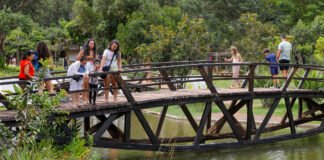 Zoológico de Brasília e Jardim Botânico terão acesso gratuito aos domingos e feriados
