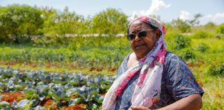 Protagonismo feminino no campo: 9,4 mil mulheres cultivam alimentos e fortalecem a agricultura familiar no DF
