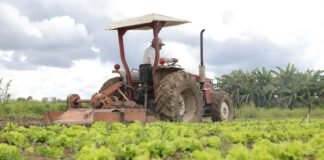 GDF inicia georreferenciamento de fazendas nas áreas rurais de São Sebastião