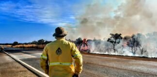 Distrito Federal declara estado de emergência ambiental para combater incêndios florestais
