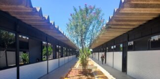 Dia da Escola: CEF 11 de Taguatinga é destaque pelo projeto Escolas Inovadoras