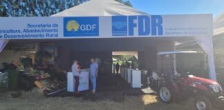 GDF atualiza normas de crédito para o setor rural