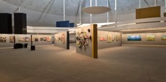 Fim de semana no Distrito Federal tem cinema acessível, exposição de arte e música ao vivo