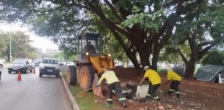 Plano Piloto recebe mutirão de limpeza e de serviços de manutenção