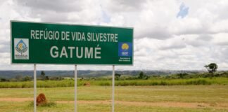 Parque Gatumé, em Samambaia, será cercado para preservação ambiental e combate ao descarte irregular de lixo