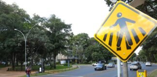 Respeito à faixa de pedestre no DF comemora 28 anos nesta terça (1º)