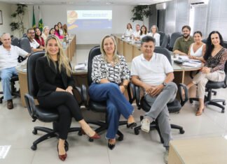 Comissão discute Plano Distrital de Educação e cronograma das etapas