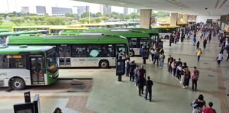 Feriado terá linhas especiais e transporte público gratuito; veja como fica