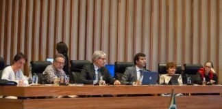 Cidadãos clamam por igualdade, participação popular e preservação ambiental em novo PDOT