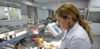 Com tecnologia de ponta, Polícia Civil do DF é referência nacional em resolução de casos