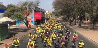 Dia Mundial do Ciclista será comemorado com ações educativas nesta terça-feira (15)