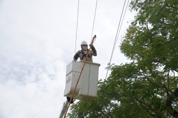 Distribuicao.-Manutencao-de-rede.-Foto-Divulgacao-Neoenergia-2.jpeg