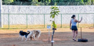 Cruzeiro terá Rua de Lazer e 3ª edição da Cãominhada no domingo (13)