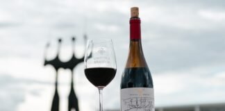No aniversário de 65 anos, Brasília ganha vinho exclusivo de projeto que integra a Rota das Uvas