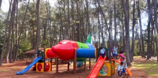Jardim Botânico de Brasília ganha novo playground para divertir a criançada