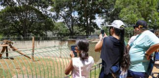 Segundo domingo do programa Lazer Para Todos atrai 15.950 visitantes ao Zoológico e ao Jardim Botânico