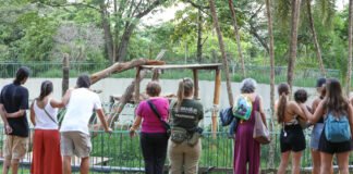 Lazer para Todos: Mais de 48 mil pessoas visitaram o Zoológico e o Jardim Botânico no feriadão de cinco dias