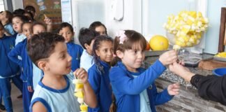 Manga entra no cardápio da merenda escolar da rede pública de ensino do DF