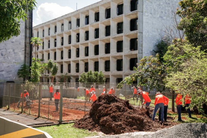 Implantacao-do-Horto-Florestal-do-Ministerio-da-Saude-Foto-Ualisson-Noronha-Agencia-Saude-DF-3-1.jpg