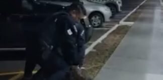 Treta entre estudantes da UnB acaba em polícia e alunos presos